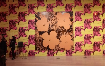 Cow Wallpaper and Flower Prints