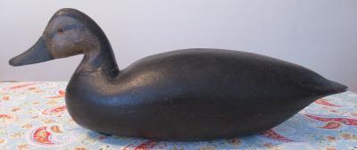 Black Duck, Tuckerton School, Carver Unknown