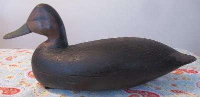 Black Duck, Tuckerton School, Carver Unknown