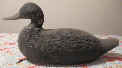 Black Duck, Moveable Head, Carver Unknown