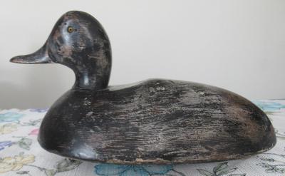  Black Duck, Carver Unknown