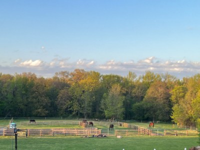 Amy's Backyard