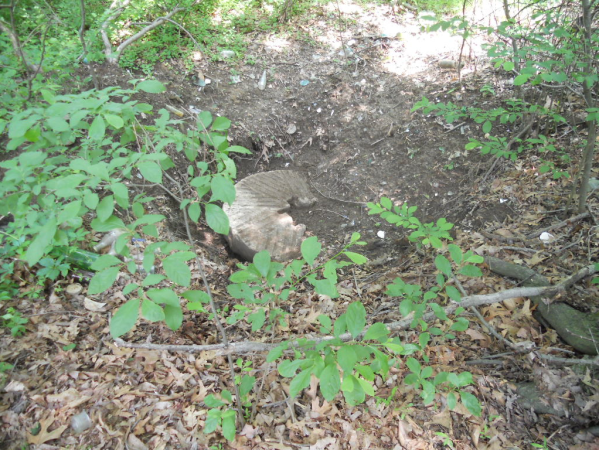 Millstone in dump along Plainsboro Rd, Cranbury NJ, 2009