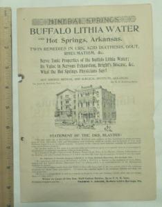 Buffalo Lithia Water Brochure