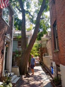 Elfreth's Alley