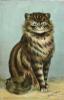 Brown Tabby Persian - A Louis Wain Cat