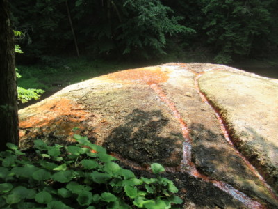 Outflow From The Orenda Spring