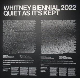 The Whitney Biennial 2022