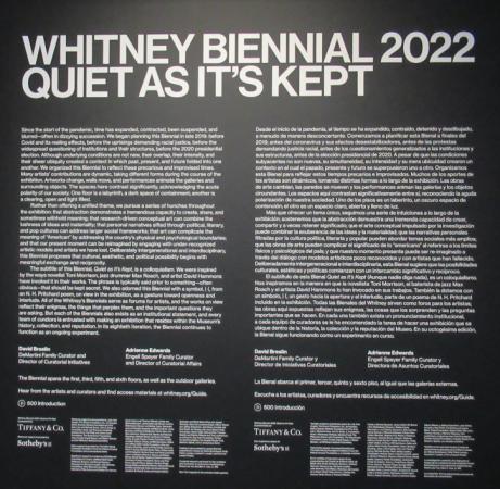 The Whitney Biennial 2022